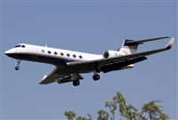 Jos Miguel Bernases - Noisy Spotters. Click to see full size photo
