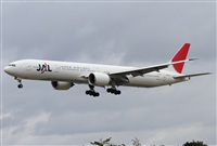 Jos Miguel Bernases - Noisy Spotters. Click to see full size photo