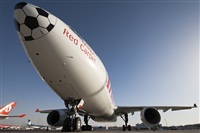 Rui Alves - Madeira Spotters. Click to see full size photo