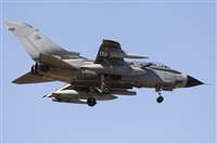 David Manuel Tobarra Ruiz - Spotters Murcia. Click to see full size photo