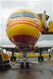 JF Alemn-GranCanariaSpotters. Click to see full size photo