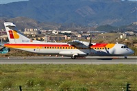 ©Salvador de la Rubia ( Marbella Spotters ). Click to see full size photo ©Salvador de la Rubia ( Marbella Spotters ). Click to see full size photo
