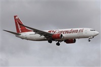 ©Alfonso Solís - Asociación Canary Islands Spotting. Click to see full size photo ©Alfonso Solís - Asociación Canary Islands Spotting. Click to see full size photo
