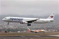 Nacho Rodriguez - Canary Islands Spotting. Click to see full size photo