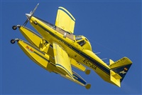 Ramon Jordi. Click to see full size photo