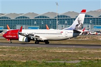 Luciano Fumero( freedom spotter)canary island spotting. Click to see full size photo
