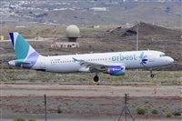 Miguel A. gueda Rguez.  (CANARY ISLANDS SPOTTING). Click to see full size photo