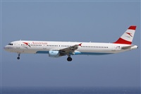 Alfonso Sols - Asociacin Canary Islands Spotting. Haz click para ampliar