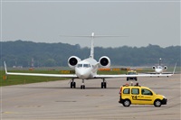 Rodrigo Carvalho - Noisy Spotters. Click to see full size photo