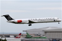 Rubn Gil - Noisy Spotters. Click to see full size photo