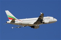 Miguel A. gueda Rguez.  (CANARY ISLANDS SPOTTING). Click to see full size photo