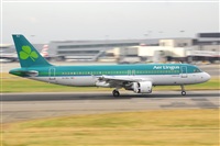 Miguel A. gueda Rguez.  (CANARY ISLANDS SPOTTING). Haz click para ampliar