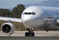 Miguel Alia - Noisy Spotters. Click to see full size photo