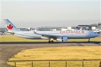 Miguel A. gueda Rguez.  (CANARY ISLANDS SPOTTING). Click to see full size photo