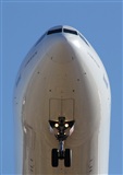 Alejandro. Click to see full size photo