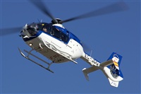 H.volar. Click to see full size photo