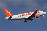 ©Alfonso Solís - Asociación Canary Islands Spotting. Click to see full size photo ©Alfonso Solís - Asociación Canary Islands Spotting. Click to see full size photo