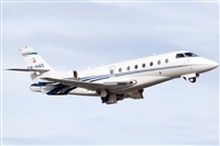Rubn Gil - Noisy Spotters. Click to see full size photo