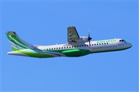 Miguel A. gueda Rguez.  (CANARY ISLANDS SPOTTING). Click to see full size photo