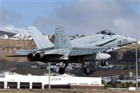 Florencio Martn Melin - Lanzarote Spotters. Click to see full size photo