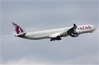 Miguel Alia - Noisy Spotters. Click to see full size photo