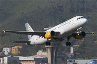 Miguel A. gueda Rguez.  (CANARY ISLANDS SPOTTING). Click to see full size photo