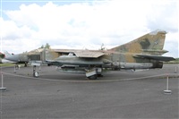 Alfonso Sols - Asociacin Canary Islands Spotting. Click to see full size photo