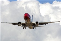 Saimon J Rodriguez   -   Canary Islands Spotting. Click to see full size photo