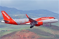 ©J. Victor Vega-Gran Canaria Spotters. Click to see full size photo ©J. Victor Vega-Gran Canaria Spotters. Click to see full size photo