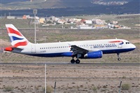 Miguel A. gueda Rguez.  (CANARY ISLANDS SPOTTING). Click to see full size photo