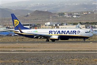 Nacho Rodriguez - Canary Islands Spotting. Click to see full size photo