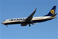 Alfonso Sols - Asociacin Canary Islands Spotting. Haz click para ampliar