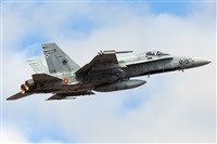 Florencio Martn Melin - Lanzarote Spotters. Haz click para ampliar