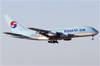 Rubn Gil - Noisy Spotters. Click to see full size photo