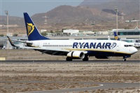 Alfonso Sols - Asociacin Canary Islands Spotting. Haz click para ampliar