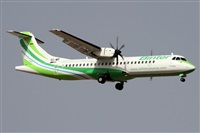 ©Alfonso Solís - Asociación Canary Islands Spotting. Click to see full size photo ©Alfonso Solís - Asociación Canary Islands Spotting. Click to see full size photo