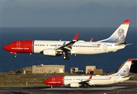 Alejandro H.L - Gran Canaria Spotters. Click to see full size photo