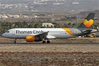 ©Alfonso Solís - Asociación Canary Islands Spotting. Click to see full size photo ©Alfonso Solís - Asociación Canary Islands Spotting. Click to see full size photo