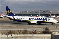Alfonso Sols - Asociacin Canary Islands Spotting. Click to see full size photo