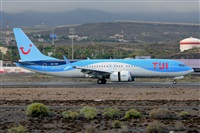 Miguel A. gueda Rguez.  (CANARY ISLANDS SPOTTING). Click to see full size photo