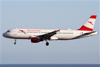 Alfonso Sols - Asociacin Canary Islands Spotting. Click to see full size photo