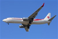 Miguel A. gueda Rguez.  (CANARY ISLANDS SPOTTING). Click to see full size photo