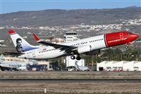 Alfonso Sols - Asociacin Canary Islands Spotting. Haz click para ampliar