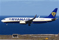 ©Alejandro H.L - Gran Canaria Spotters. Click to see full size photo ©Alejandro H.L - Gran Canaria Spotters. Click to see full size photo