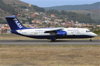 Miguel A. gueda Rguez.  (CANARY ISLANDS SPOTTING). Haz click para ampliar