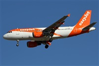 Alfonso Sols - Asociacin Canary Islands Spotting. Haz click para ampliar