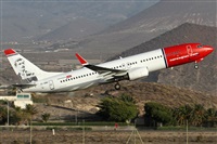 Alfonso Sols - Asociacin Canary Islands Spotting. Click to see full size photo