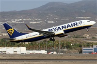 Alfonso Sols - Asociacin Canary Islands Spotting. Haz click para ampliar