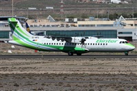 ©Alfonso Solís - Asociación Canary Islands Spotting. Click to see full size photo ©Alfonso Solís - Asociación Canary Islands Spotting. Click to see full size photo