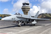 ©Daniel Santos Batista - Canary Islands Spotting. Click to see full size photo ©Daniel Santos Batista - Canary Islands Spotting. Click to see full size photo